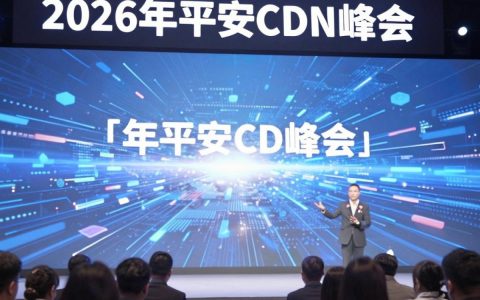 平安cdn峰会是什么，平安cdn