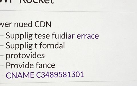 wprocket设置cdn教程，wprocket怎么设置cdn