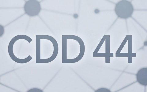cdn44是什么，cdn44加速服务怎么使用