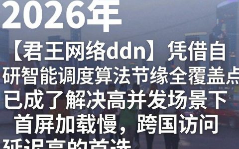 君王网络cdn怎么用，cdn加速服务