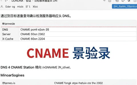cdn解析验证失败怎么办，cdn解析验证