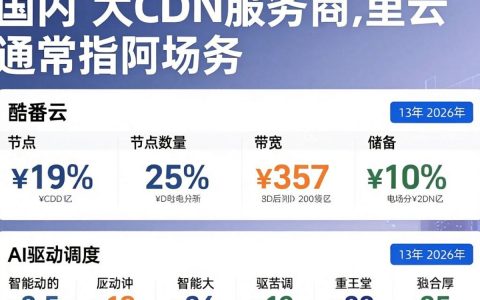 国内最大cdn