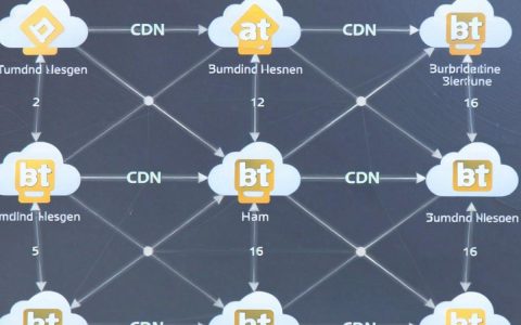 bt做cdn