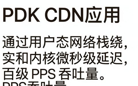 dpdk cdn应用是什么，dpdk加速cdn原理