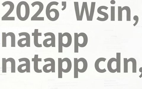 natapp cdn怎么用，natapp内网穿透配置