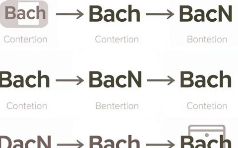 cdn bach是什么，cdn加速原理