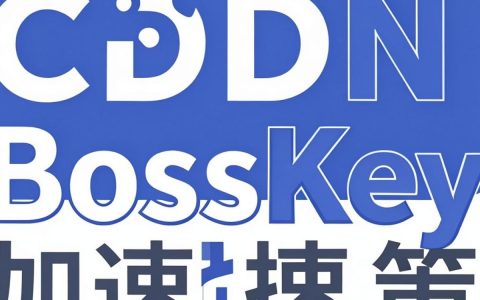 cdn bosskey怎么用，CDN加速配置技巧