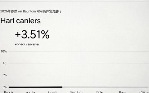 网站没有cdn怎么加速，没有cdn网站访问慢