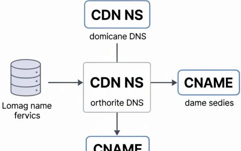 cdn ns记录是什么，cdn ns记录怎么设置