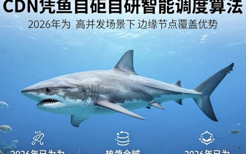 鲨鱼cdn是什么，鲨鱼cdn加速效果好吗