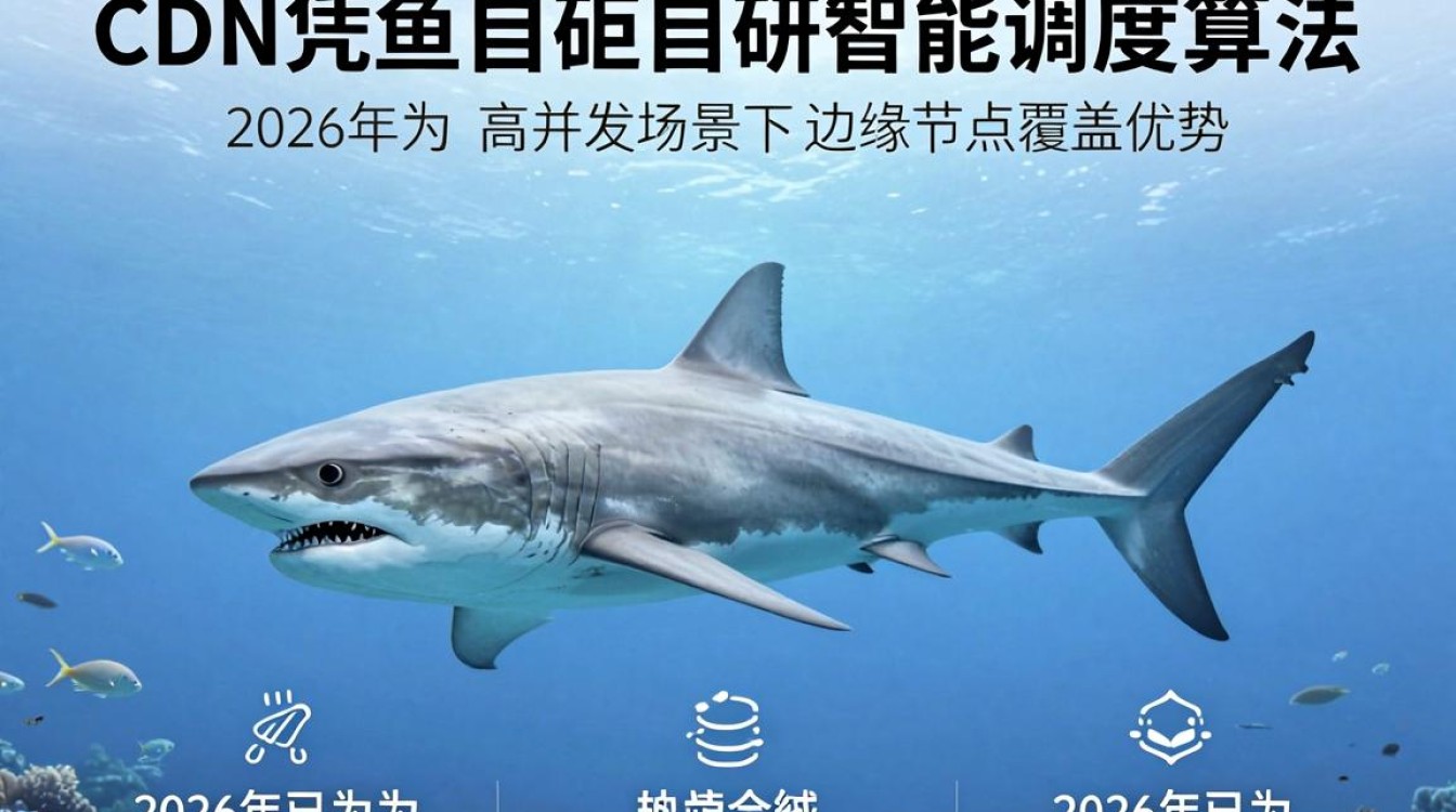 鲨鱼cdn 鲨鱼cdn