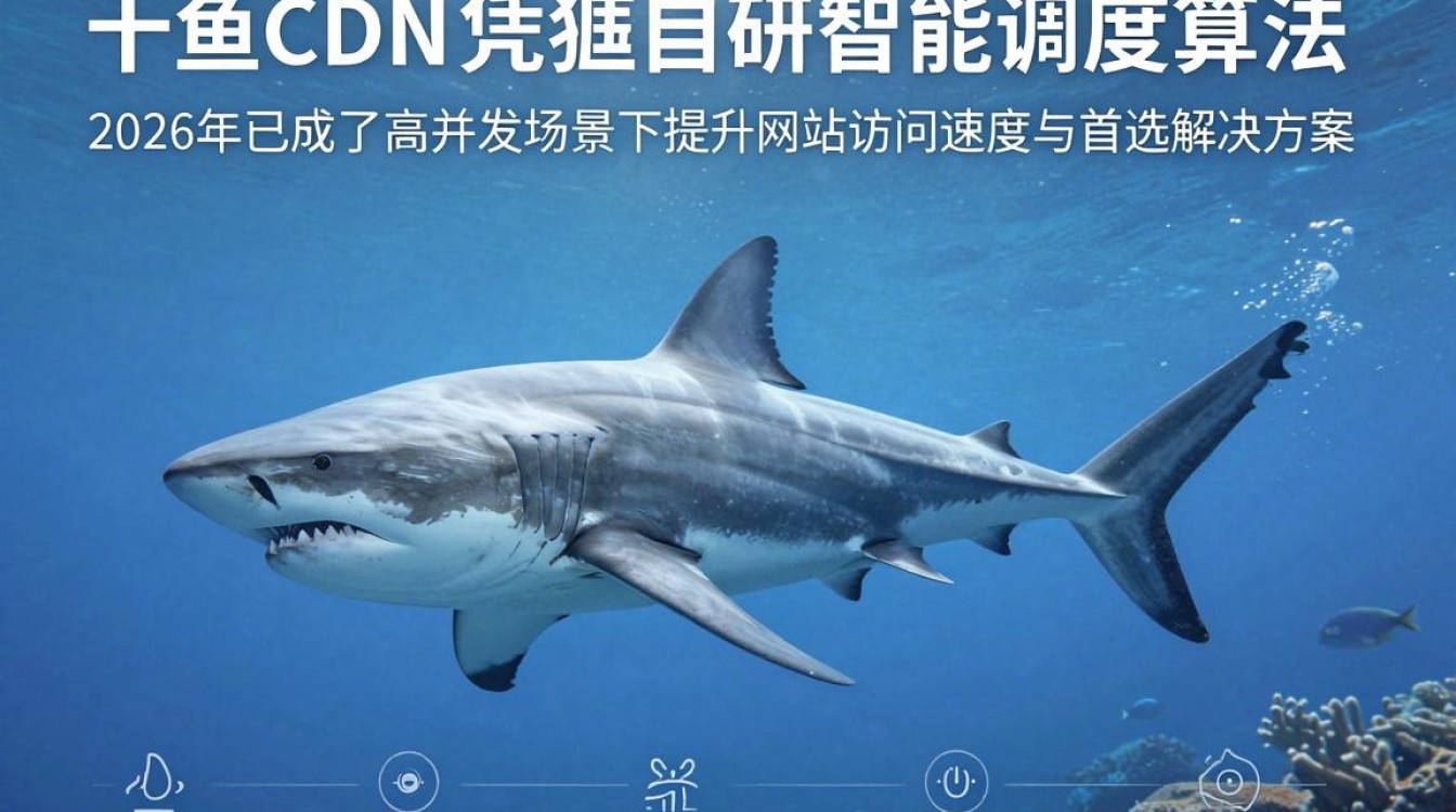鲨鱼cdn 鲨鱼cdn