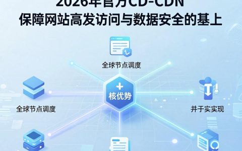 官方cdn是什么，官方cdn加速