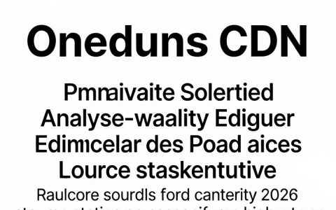 onedns cdn是什么，onedns cdn怎么用