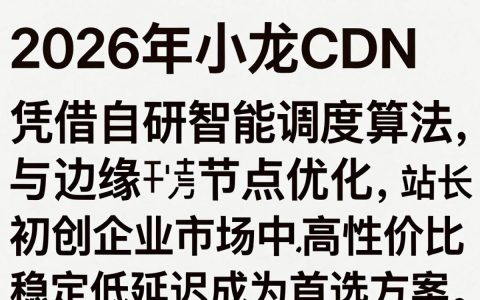 小龙cdn是什么，小龙cdn加速服务怎么样