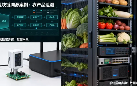 互联网区块链溯源案例有哪些？区块链溯源系统怎么搭建