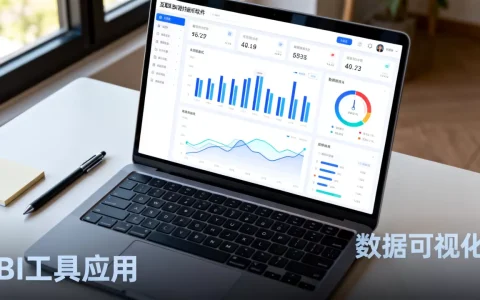 互联网BI数据分析软件应用有哪些？
