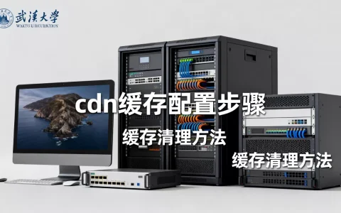 武汉大学cdn缓存怎么配置？武汉大学cdn缓存清理方法
