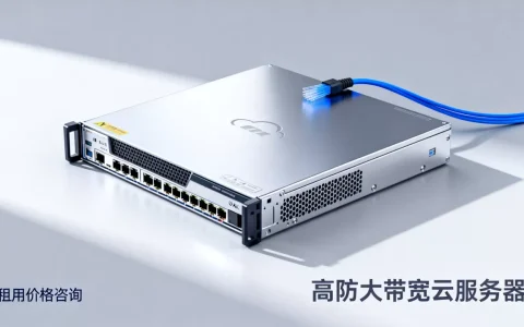 高防大带宽云服务器租用价格是多少？云服务器租用多少钱一个月