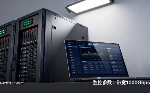 高防服务器监控怎么做？高防服务器监控软件推荐