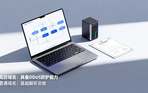 高防域名是什么？高防域名和普通域名有什么区别