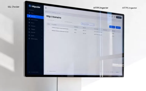 网站https域名检测不准怎么办？https域名检测工具推荐