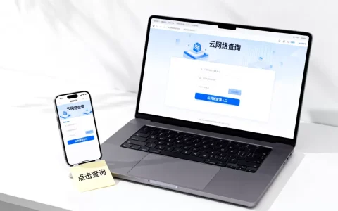 互联网云网络查询怎么查？云网络查询入口