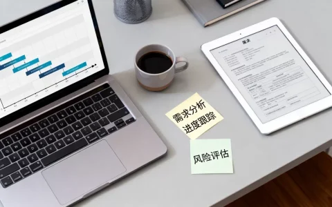 互联网创新项目怎么管？项目管理策略有哪些