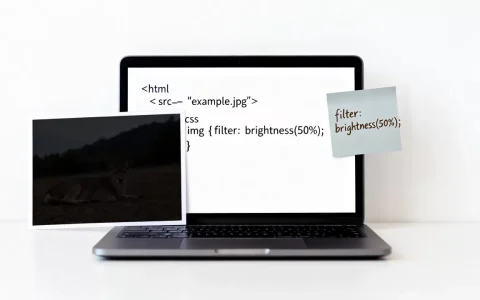 html让图片变暗怎么设置？html图片变暗css代码