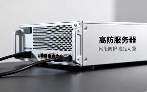 高防服务器是什么？高防服务器租用价格及优势详解