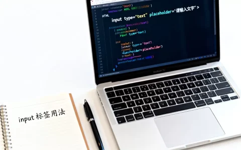 HTML输入文字代码怎么写？html input标签用法详解