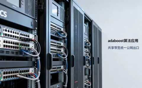 adaboost运用是什么？运用共享带宽统一ECS实例公网出口
