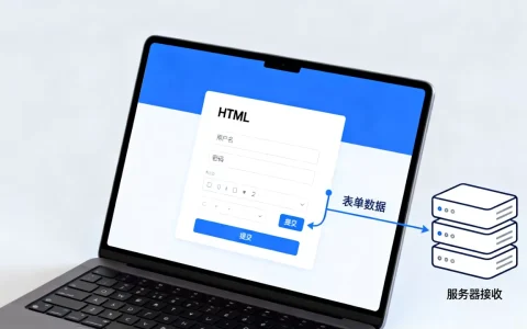 HTML表单怎么提交数据？前端表单数据传递方法