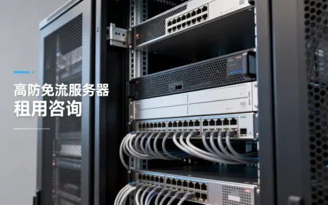高防免流服务器好用吗？高防免流服务器租用多少钱
