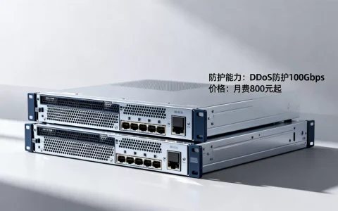 高防云服务器哪家好？高防服务器租用价格及防护能力对比