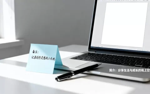个人网站备注怎么填？网站简介怎么写吸引人