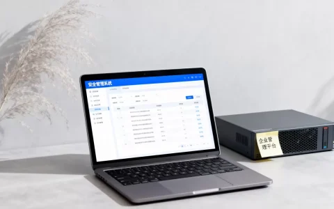 安全管理软件哪个好用？企业管理软件中心有哪些