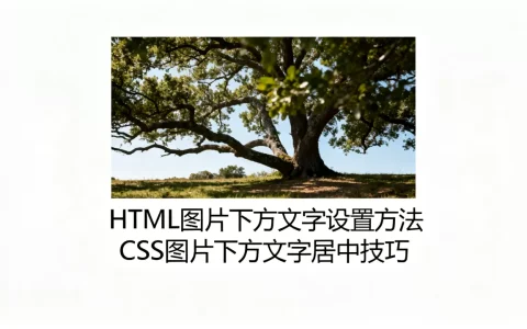 HTML图片下方文字怎么设置？CSS图片下方文字居中