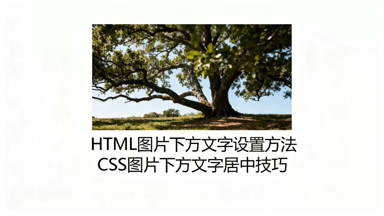 HTML图片下方文字怎么设置？CSS图片下方文字居中