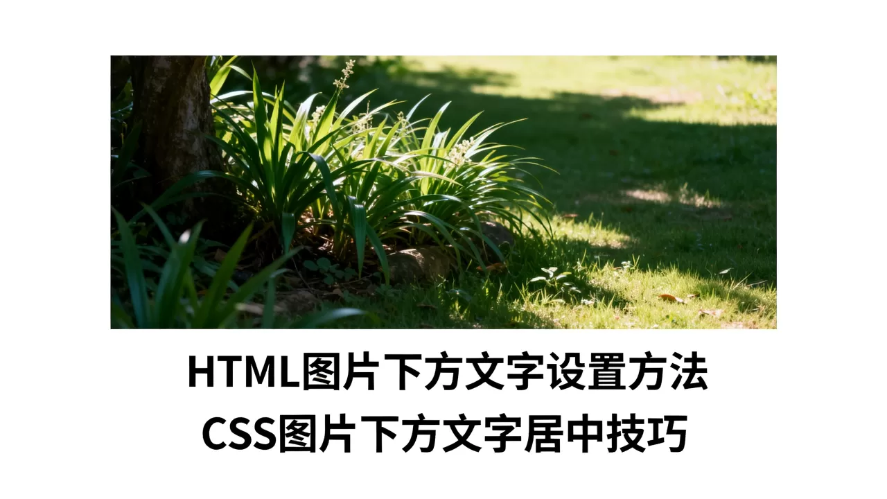HTML图片下方文字怎么设置？CSS图片下方文字居中