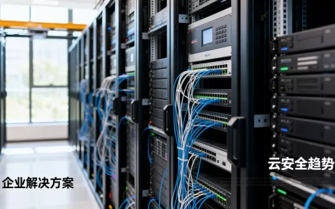 云安全未来会怎样？企业云安全解决方案有哪些