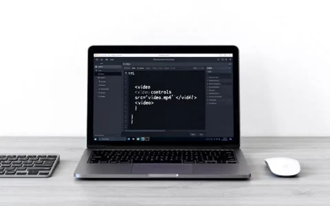 html多媒体播放器怎么用？html5视频播放器代码