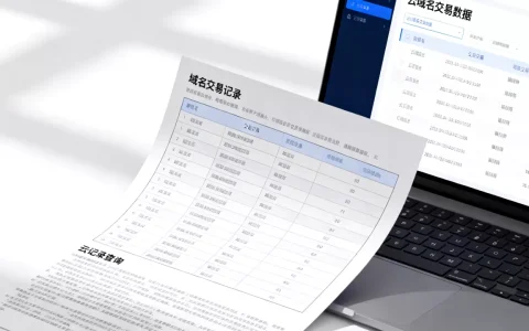 关于云的域名交易记录是真的吗，域名交易记录查询