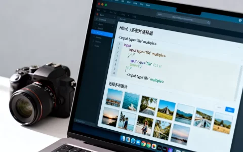 html多图片选择器怎么用？html多图片选择器代码