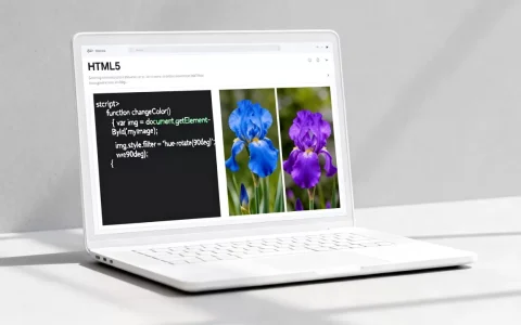 HTML5图片变色怎么做？html5图片变色代码