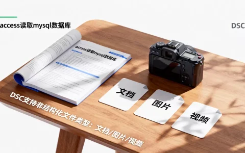 access读取mysql数据库文件_DSC支持识别的非结构化文件类型？