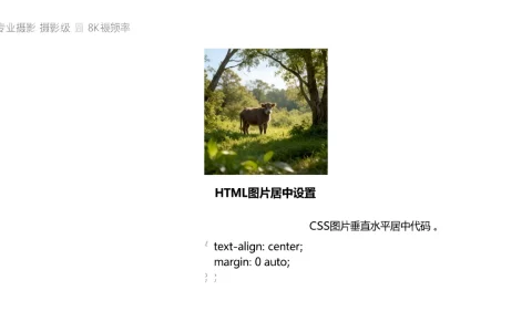 HTML图片居中怎么设置？CSS图片垂直水平居中代码