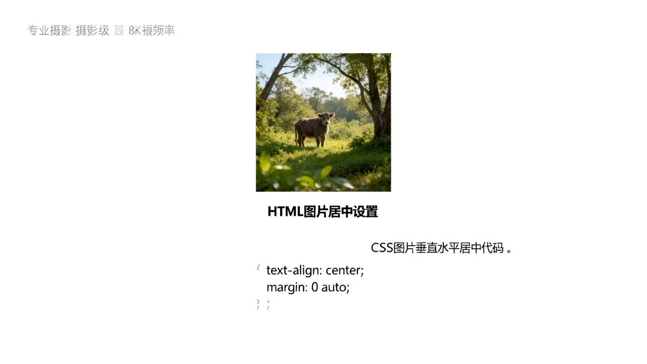 HTML图片居中怎么设置？CSS图片垂直水平居中代码
