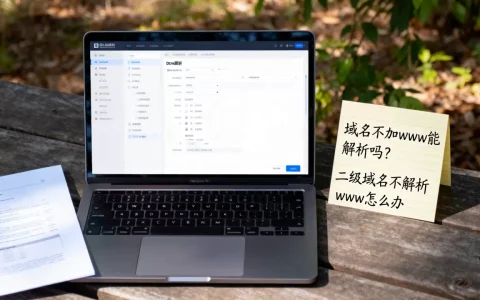 域名不加www能解析吗？二级域名不解析www怎么办