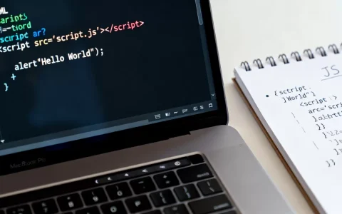 html怎么写入js？如何在html中引入javascript